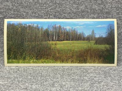 Лот: 25847970. Фото: 1. Почтовая открытка СССР - Левый... Открытки, конверты