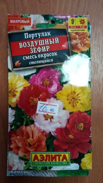 Лот: 15536524. Фото: 1. Портулак махровый воздушный зефир. Садовые цветы