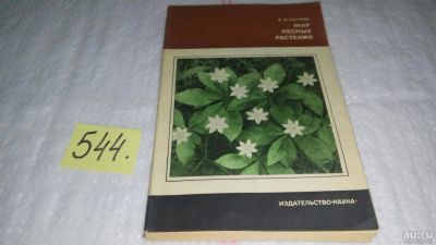 Лот: 10386745. Фото: 1. Мир лесных растений, Владимир... Биологические науки