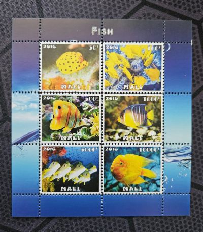 Лот: 25507896. Фото: 1. Марки: Мали. 2016. Рыбы (ПБ чистый... Марки