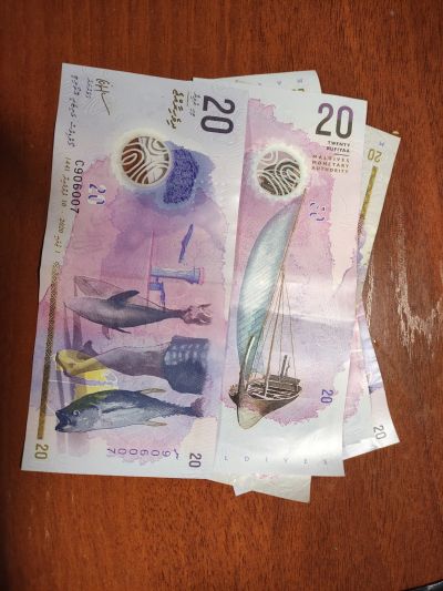 Ловушка для рыбы - "мордушка" - New — купить в Красноярске. Состояние ...