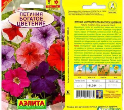 Лот: 11474032. Фото: 1. Петуния - рассада. Садовые цветы