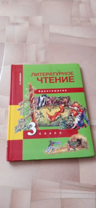 Лот: 18654755. Фото: 1. Литературное чтение хрестоматия... Другое (дети растут)