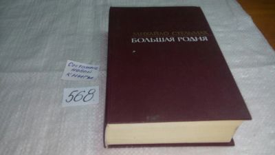 Лот: 10503256. Фото: 1. Большая родня, Михаил Стельмах... Художественная