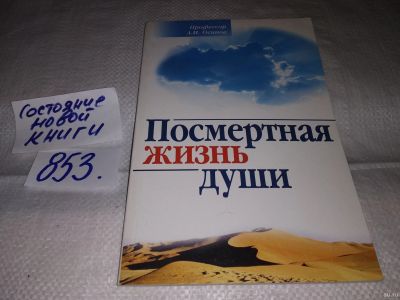 Лот: 13564330. Фото: 1. Осипов А.И., Посмертная жизнь... Религия, оккультизм, эзотерика