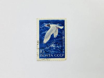Лот: 23315276. Фото: 1. Пернатые - обитатели побережий... Марки