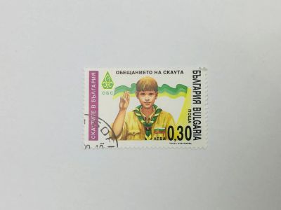 Лот: 23314152. Фото: 1. Скауты. Клятва. Другое. Болгария... Марки