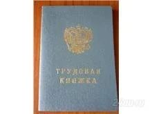 Лот: 613116. Фото: 1. Трудовая книжка (нового образца... Другое (канцелярские и офисные товары)