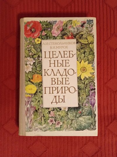 Лот: 24671003. Фото: 1. Книга Целебные кладовые природы. Другое (хобби, туризм, спорт)