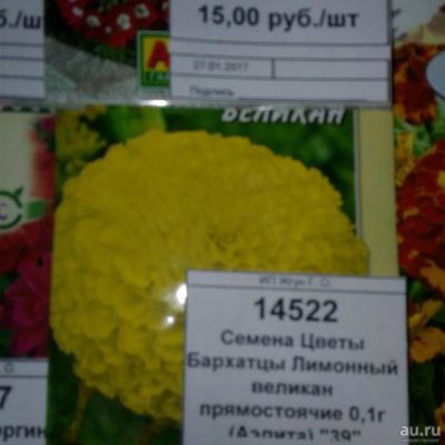 Лот: 9115451. Фото: 1. Семена / Цветы / Бархатцы / Лимонный... Садовые цветы