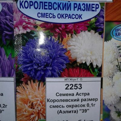 Лот: 9112079. Фото: 1. Семена / цветы / Астра / Королевский... Садовые цветы