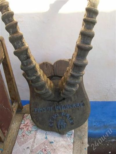 Лот: 2192504. Фото: 1. Рога горного козла. Другое (коллекционирование, моделизм)
