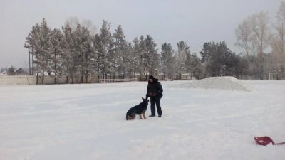 Лот: 6975556. Фото: 1. Земельный участок. Земельные участки