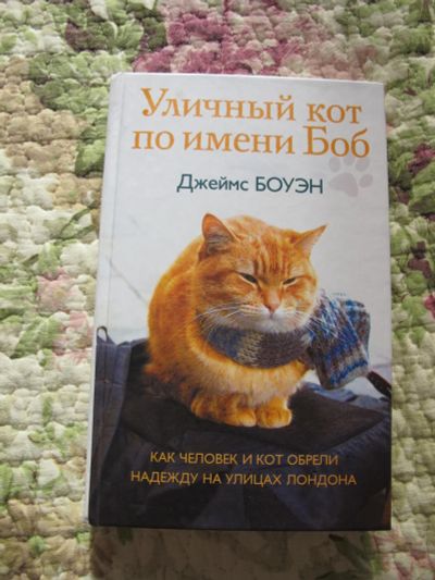 Лот: 7088325. Фото: 1. Уличный кот по имени Боб, Д. Боуэн. Художественная