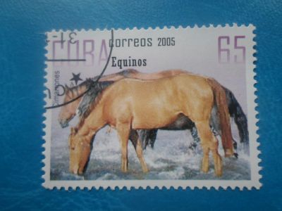 Лот: 17478974. Фото: 1. Лошадь марка для Вашей коллекции... Марки