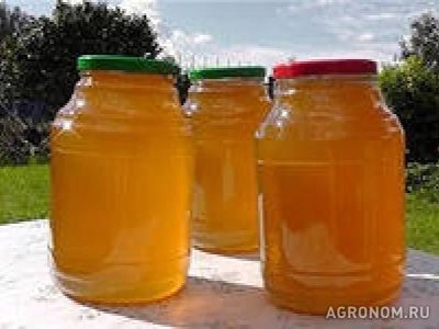 Лот: 5478433. Фото: 1. Продам мед донник и крипрей. Мёд, продукты пчеловодства