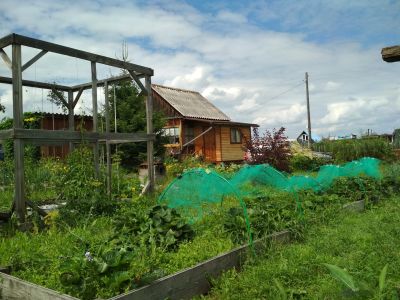 Лот: 16355858. Фото: 1. Продам дачу снт Таскино 10 соток. Дачи