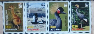 Лот: 10456217. Фото: 1. Гамбия 2006 пс сц MNH. Марки