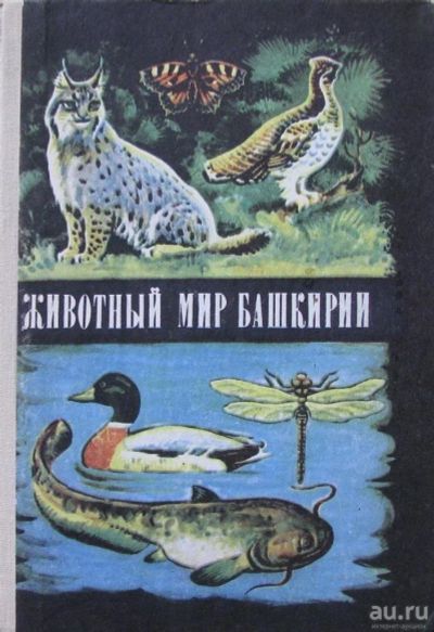 Лот: 15896209. Фото: 1. Животный мир Башкирии. Другое (литература, книги)