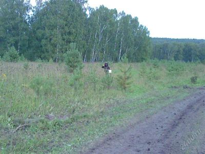 Лот: 1205745. Фото: 1. Дачный участок- 170 т.р. Дачи