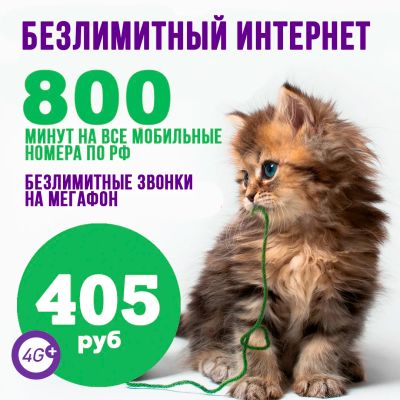Лот: 16961679. Фото: 1. 800 минут на мобильные номера... Красноярск