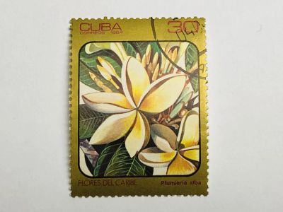 Лот: 23316643. Фото: 1. Растения. Цветы. 30 сентаво. Флора... Марки
