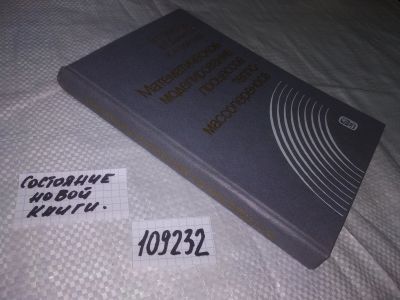 Лот: 20768912. Фото: 1. oz (109232) " Математическое моделирование... Физико-математические науки