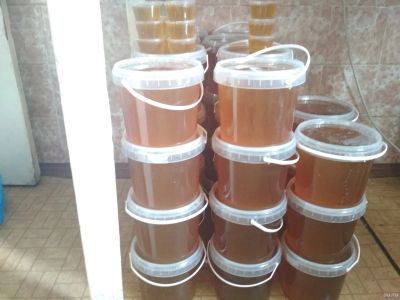 Лот: 14595599. Фото: 1. Мёд со своей пасеки. Сибирское... Мёд, продукты пчеловодства