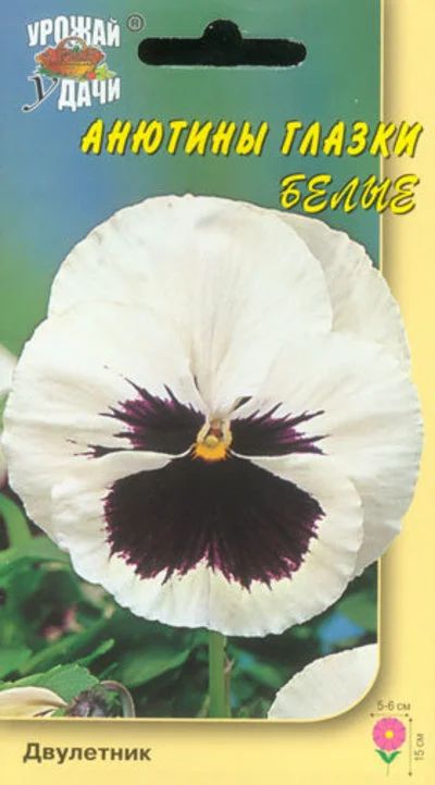 Лот: 12962698. Фото: 1. Семена виолы "Швейцарские гиганты... Садовые цветы