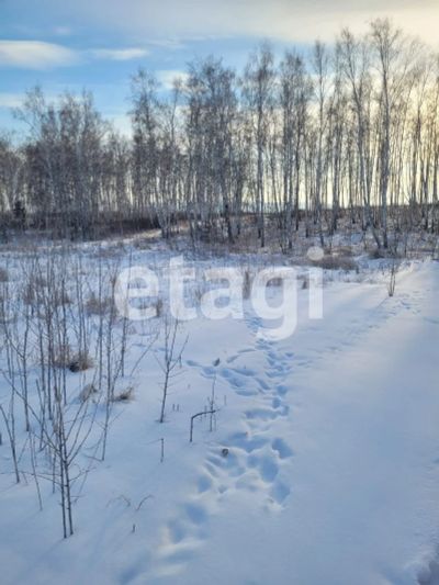 Лот: 25299029. Фото: 1. участок , дачное некоммерческое... Земельные участки