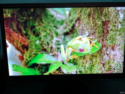 Лот: 13764837. Фото: 1. Игровой монитор Iiyama ProLite... ЖК-мониторы