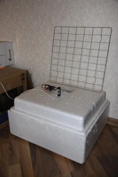 Лот: 7271756. Фото: 1. инкубатор б\у. Птицы