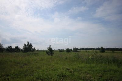 Лот: 25292429. Фото: 1. участок , ДНТ Родные Просторы... Земельные участки
