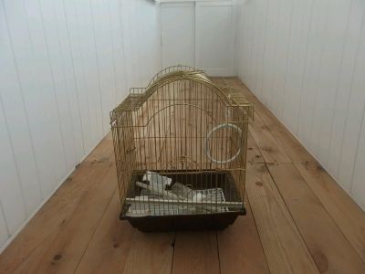 Лот: 9889576. Фото: 1. Клетка для птицы. Домики, переноски, клетки, когтеточки