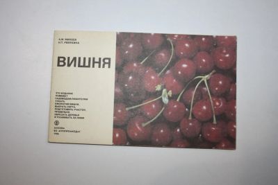 Лот: 23909066. Фото: 1. Вишня. Михеев А. М., Ревякина... Сад, огород, цветы