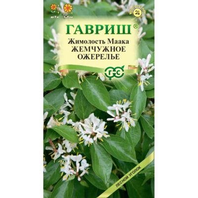 Лот: 24683722. Фото: 1. Семена Цветы, Жимолость, Маака... Другое (семена, рассада, садовые растения)