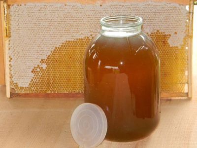 Лот: 5537263. Фото: 1. Мед. Банка 3л. Мёд, продукты пчеловодства