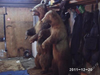 Лот: 1437217. Фото: 1. Декаративные медведи. Другое (предметы интерьера)