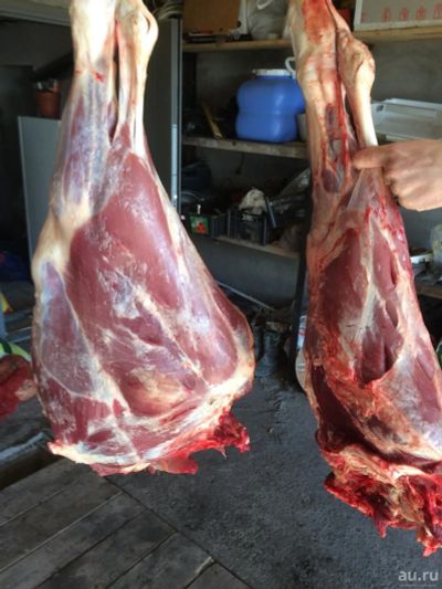 Лот: 9409538. Фото: 1. Мясо молодого теленка. Мясо, птица, яйцо