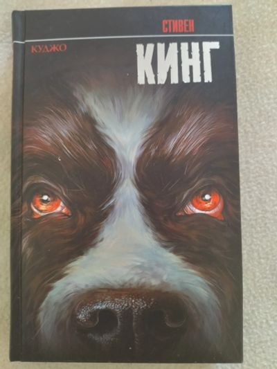 Лот: 22029773. Фото: 1. Книга. Художественная