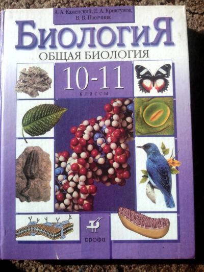 Лот: 4421482. Фото: 1. Продано!. Для школы