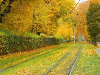Лот: 10246737. Фото: 1. Сниму 1-2 комн. в п. Подгорном. Квартиры, студии