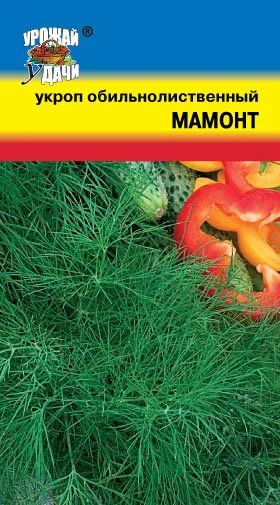 Лот: 10813219. Фото: 1. Семена укропа "Мамонт" - обилие... Пряные, лекарственные растения и зелень