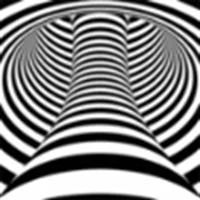 Лот: 3449993. Фото: 1. зебра в тумане. Другое (гардеробные аксессуары)