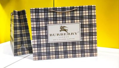 Лот: 20652227. Фото: 1. Брендовый пакет Burberry. Другое (аксессуары)