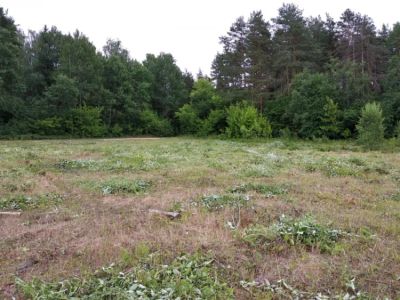 Лот: 20862911. Фото: 1. Куплю земляной участок. Земельные участки
