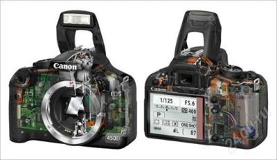 Лот: 1814115. Фото: 1. Canon EOS 450D body. Цифровые зеркальные