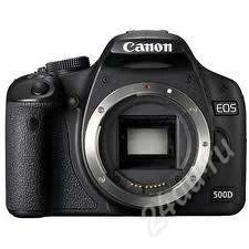 Лот: 1584356. Фото: 1. Canon kiss x3 (500d) Body+2 аккумулятора... Цифровые зеркальные
