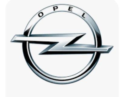 Лот: 25302088. Фото: 1. Активация скрытых функций на Opel... Другое (автозапчасти)