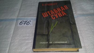 Лот: 11155805. Фото: 1. Штабная сука, Валерий Примост... Художественная